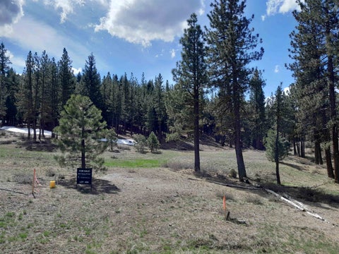 Vacant Land For Sale - 5028 Harvest Moon #18<br/> Portola, CA 96122