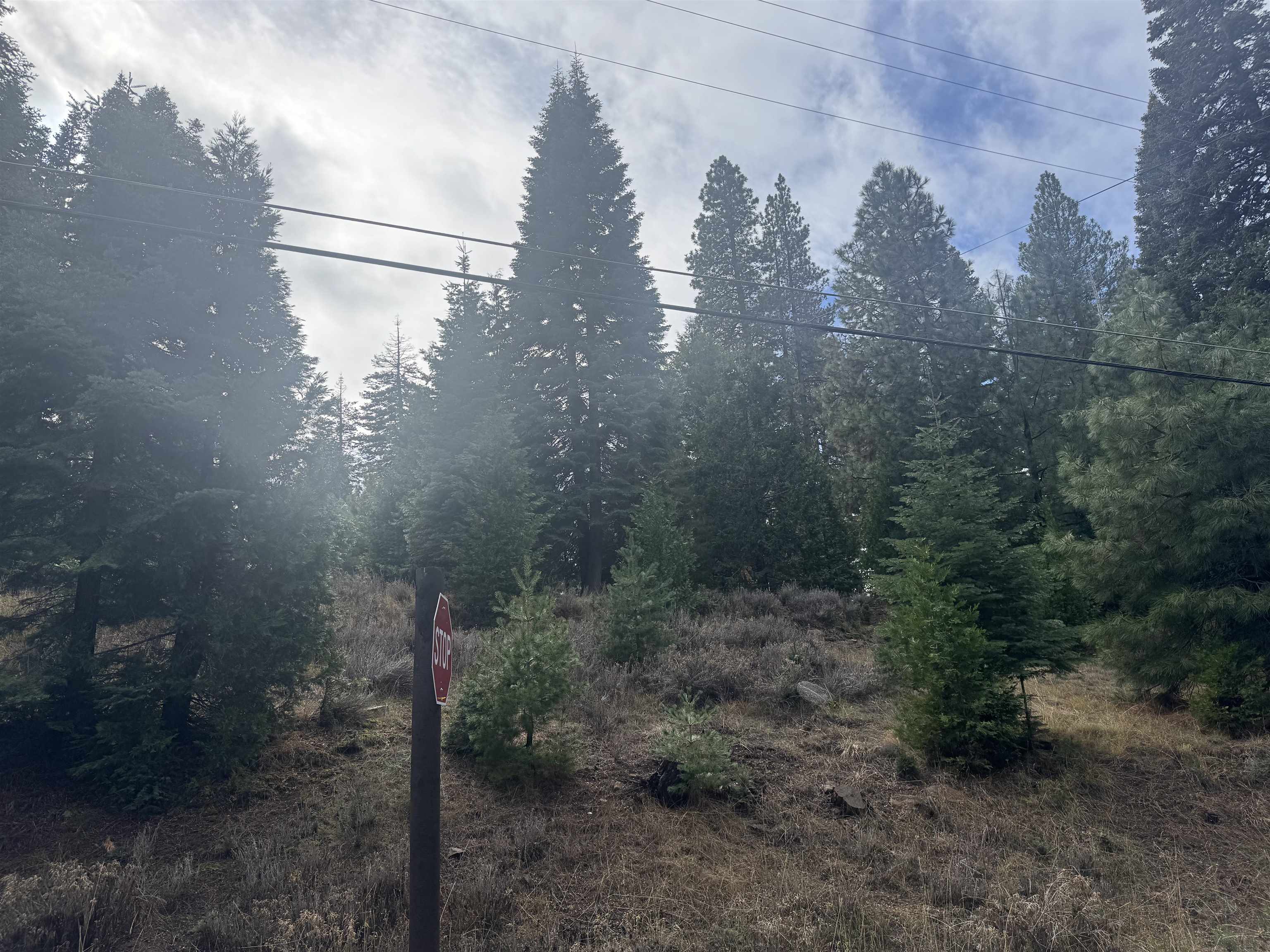 Lake Almanor, California 96137, United States, ,Land,Active,239566