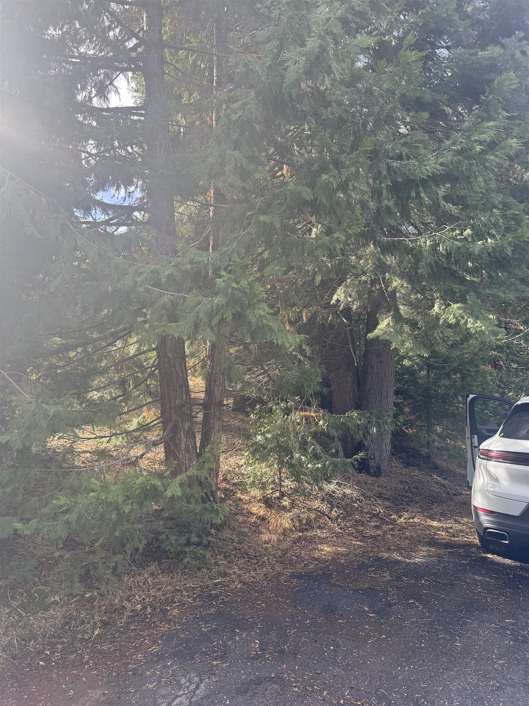 Lake Almanor, California 96137, United States, ,Land,Active,239566