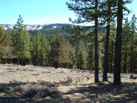 Vacant Land For Sale - 463 Quail Run<br/> Portola, CA 96122