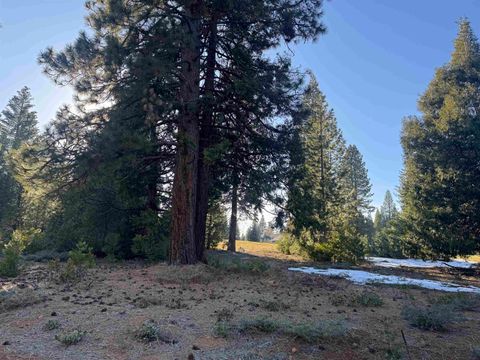 Vacant Land For Sale - 185 Red River Drive Dr<br/> Plumas County, Lake Almanor, CA 96137