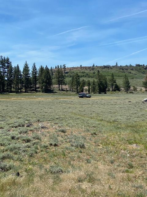 Vacant Land For Sale - XXXX Doyle Grade<br/> Chilcoot, CA 96105
