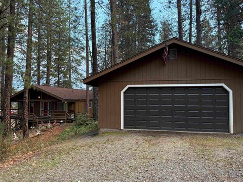 Homes For Sale - 17420 Pioneer Road Rd<br/> Greenville, CA 95971