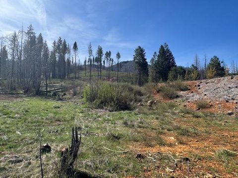 Vacant Land For Sale - 668 Crescent Street St<br/> Greenville, CA 95947