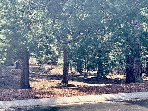 Vacant Land For Sale - 85 Fox Ridge Drive Dr<br/> Lake Almanor, CA 96137