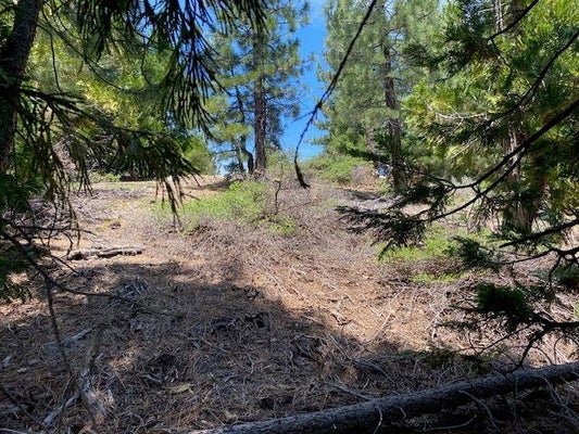 5961 BITTERBRUSH RD, PORTOLA, CA 96122 - Image 69d283674cb8f3f855bdabb4043a7efc/3857568303