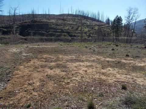 Vacant Land For Sale - 305 Kinder Avenue Ave<br/> Greenville, CA 95947