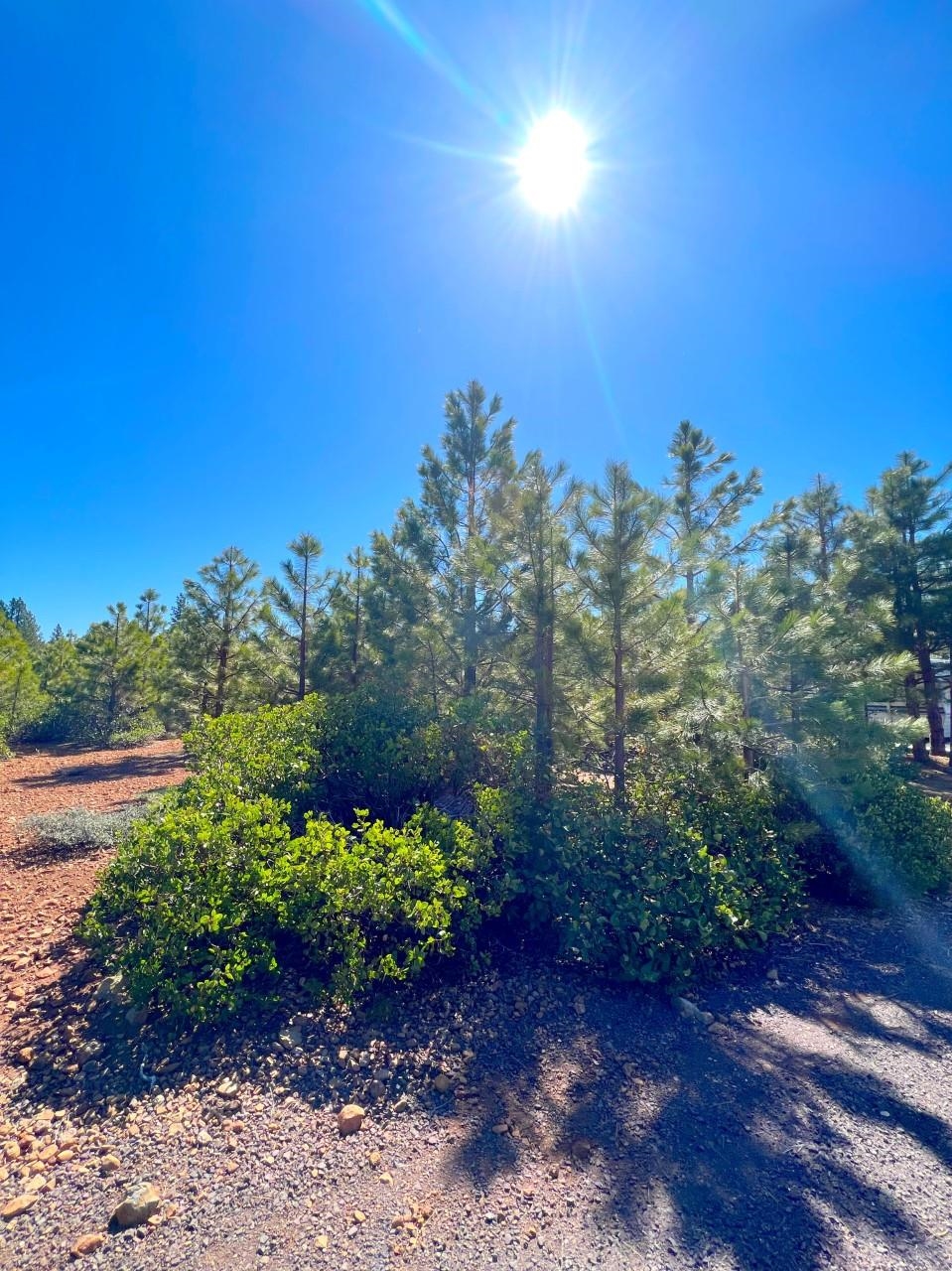 Lake Almanor, California 96137, United States, ,Land,Active,103203