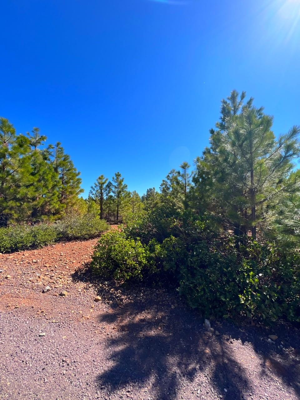 Lake Almanor, California 96137, United States, ,Land,Active,103203