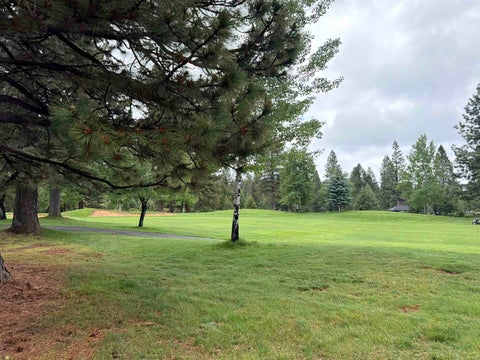 Vacant Land For Sale - 305 Bailey Creek Drive Rd<br/> Lake Almanor, CA 96137