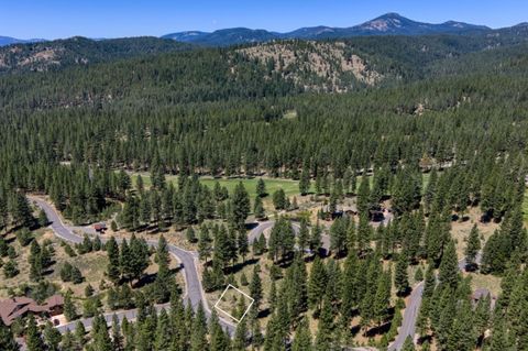 Vacant Land For Sale - 415 Blacktail Ridge Rdg<br/> Portola, CA 96122
