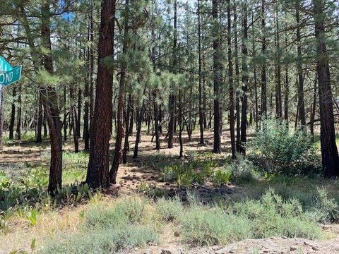 Vacant Land For Sale - 200 Portola Avenue<br/> Portola, CA 96122