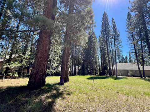 Vacant Land For Sale - 142 Cottonwood Drive<br/> Blairsden, CA 96103