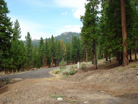 Vacant Land For Sale - 307 Big Cedar Lane<br/> Plumas County, Portola, CA 96122