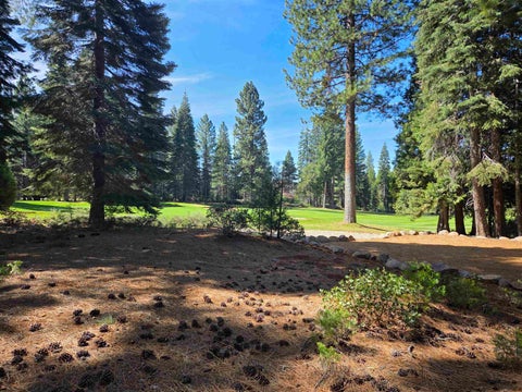 Vacant Land For Sale - 739 Red River Drive<br/> Lake Almanor, CA 96137