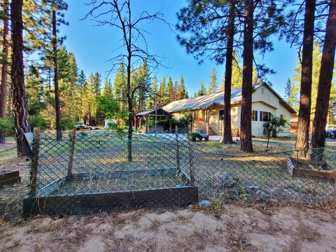 Homes For Sale - 205 C Road Rd<br/> Clio, CA 96103