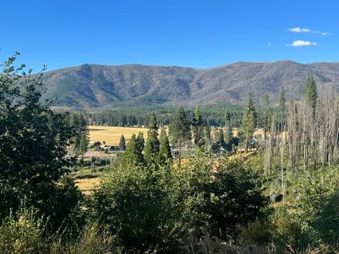 Vacant Land For Sale - 521 Hideaway Lane<br/> Greenville, CA 95947