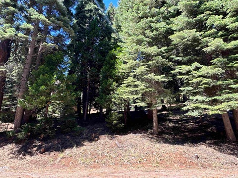 Vacant Land For Sale - 721 Pine Canyon Road Rd<br/> Lake Almanor, CA 96137