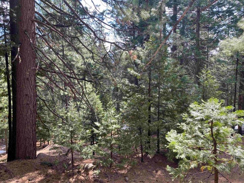 Vacant Land For Sale - 530 Bailey Creek Drive Dr<br/> Lake Almanor, CA 96137
