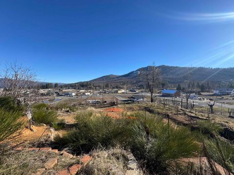 Vacant Land For Sale - 125 Bidwell Street St<br/> Greenville, CA 95947