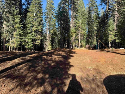Vacant Land For Sale - 8896 Big Creek Road Rd<br/> Bucks Lake, CA 95971