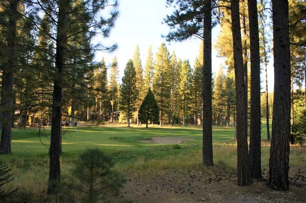 44 BLACK BEAR TRL, CLIO, CA 96106 - Image 90d8245a6de26e3de71bbcd1ec1faeeb/793528227