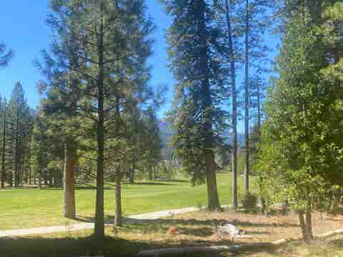 Vacant Land For Sale - 921 Prospector Drive<br/> Clio, CA 96106