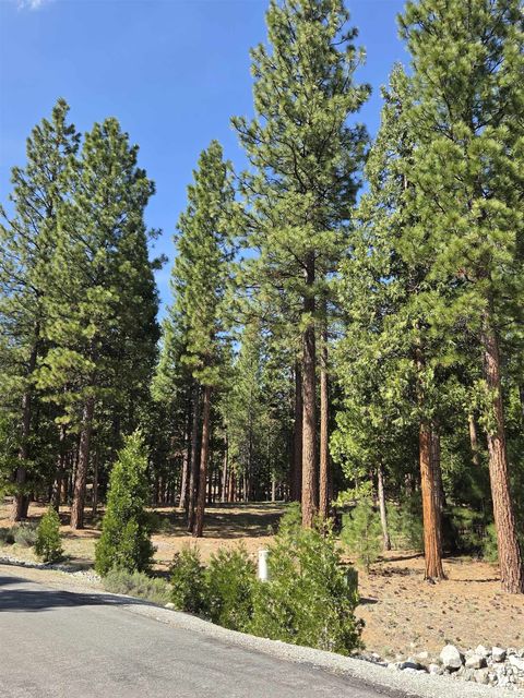 Vacant Land For Sale - 762 Blacktail Ridge Rdg<br/> Plumas County, Portola, CA 96122