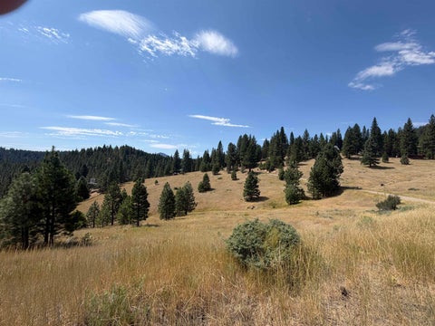 Vacant Land For Sale - 3476 Fawn Lane<br/> Plumas County, Portola, CA 96122