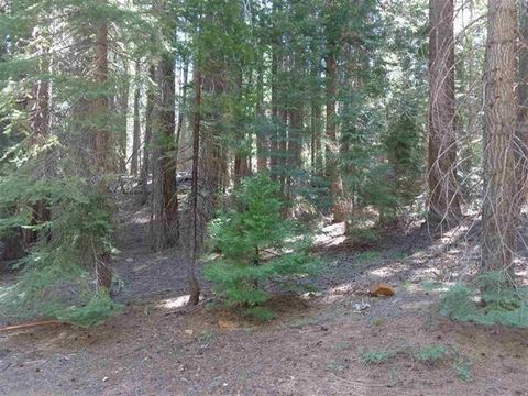 Vacant Land For Sale - 429 Big Meadows Road<br/> Plumas County, Canyon Dam, CA 95923