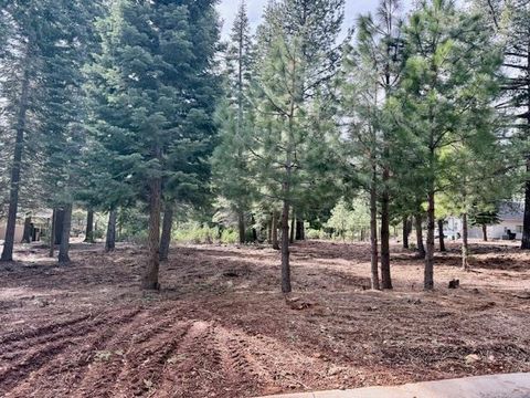 Vacant Land For Sale - 314 Alpine Fir Road Rd #CW<br/> Plumas County, Lake Almanor, CA 96137