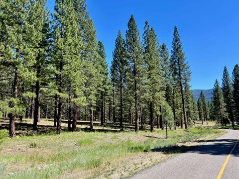 Vacant Land For Sale - 1855 Valley Ranch Drive Dr<br/> Clio, CA 96106