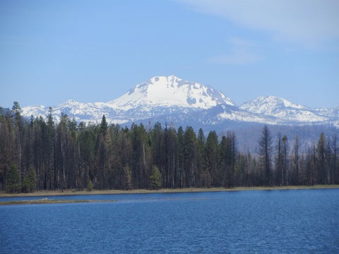 Vacant Land For Sale - 115 Lake Almanor West Drive Dr<br/> Chesterfield, CA 96020