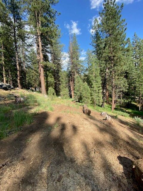 Vacant Land For Sale - 1066 Buckskin Lane<br/> Portola, CA 96122