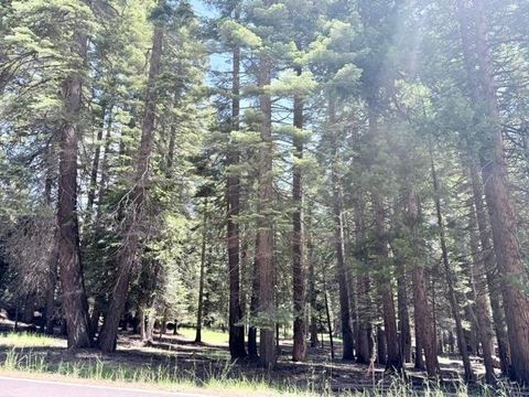 Vacant Land For Sale - 1100 Clifford Drive Dr<br/> Lake Almanor, CA 96137