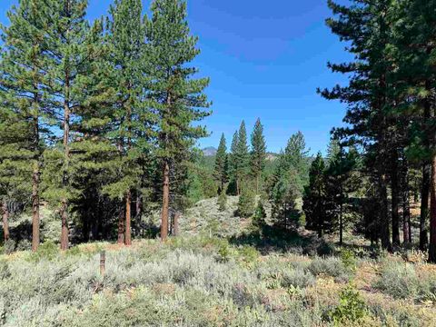 Vacant Land For Sale - 24 Starflower Drive<br/> Plumas County, Portola, CA 96122