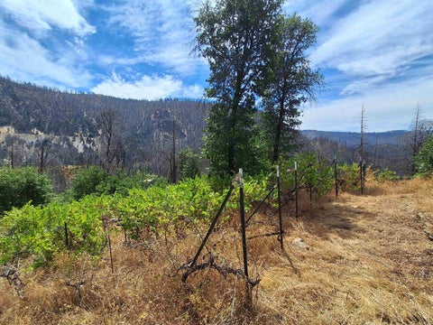 Vacant Land For Sale - 249 Thompson Avenue St<br/> Crescent Mills, CA 95934