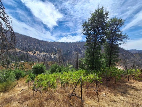 Vacant Land For Sale - 249 Thompson Avenue St<br/> Plumas County, Crescent Mills, CA 95934