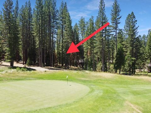 Vacant Land For Sale - 715 Miner's Passage<br/> Clio, CA 96106