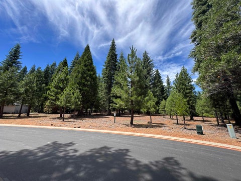 Vacant Land For Sale - 319 Alpine Fir Road Rd<br/> Plumas County, Lake Almanor, CA 96137