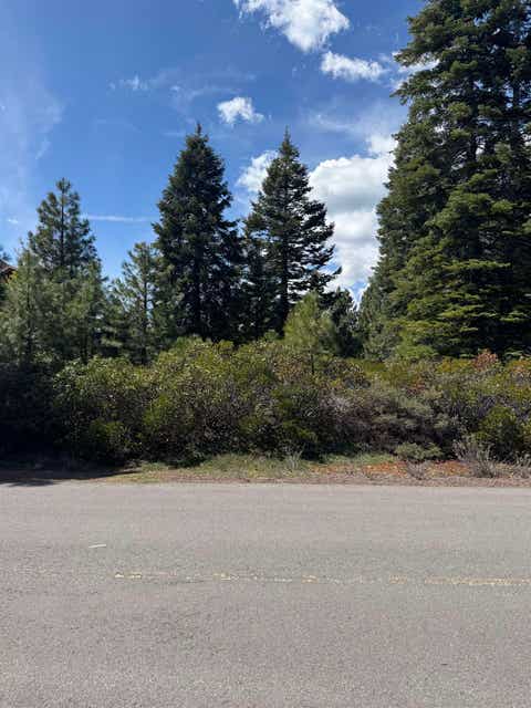 Vacant Land For Sale - 373 Flint Way Way<br/> Plumas County, Lake Almanor, CA 96137