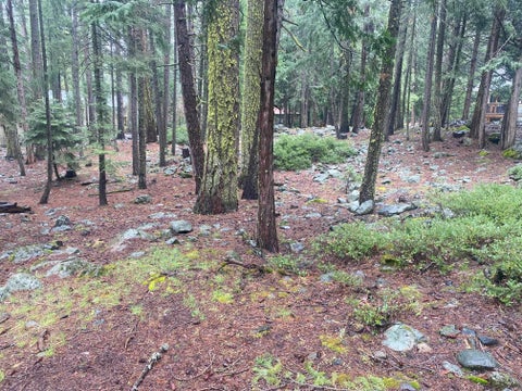 Vacant Land For Sale - 5 Yana Trail Trl<br/> Graeagle, CA 96103