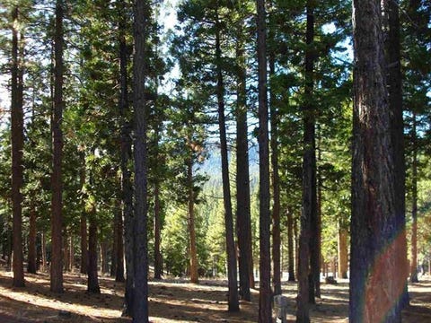 Vacant Land For Sale - 296 Big Cedar Lane Ln<br/> Plumas County, Portola, CA 96122