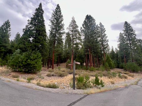 Vacant Land For Sale - 720 Blacktail Ridge Rdg<br/> Portola, CA 96122