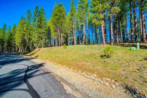 Vacant Land For Sale - 266 Boulder Drive<br/> Clio, CA 96106