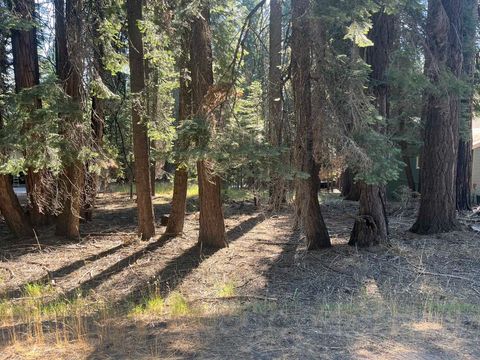 Homes For Sale - 1130 Clifford Drive Dr<br/> Lake Almanor, CA 96137