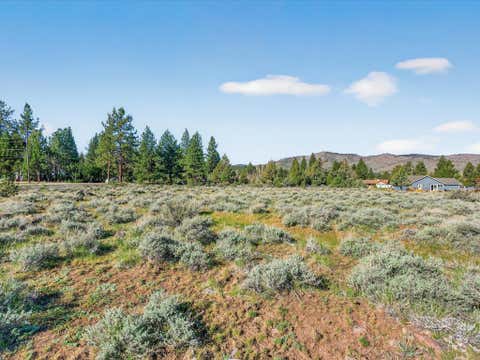 Vacant Land For Sale - 171 Smithneck Road<br/> Loyalton, CA 96118