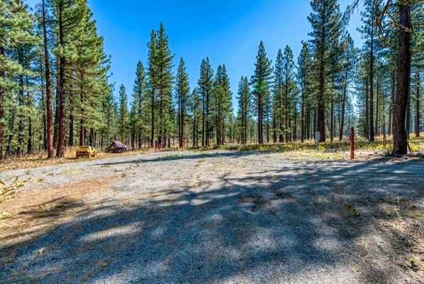6062 IRON HORSE DR, PORTOLA, CA 96122 - Image c01cde3b3c728d9f8a3d4199a7d9f6f2/4085604989