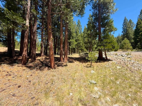 Vacant Land For Sale - 300 Peppergrass Lane Ln<br/> Portola, CA 96121