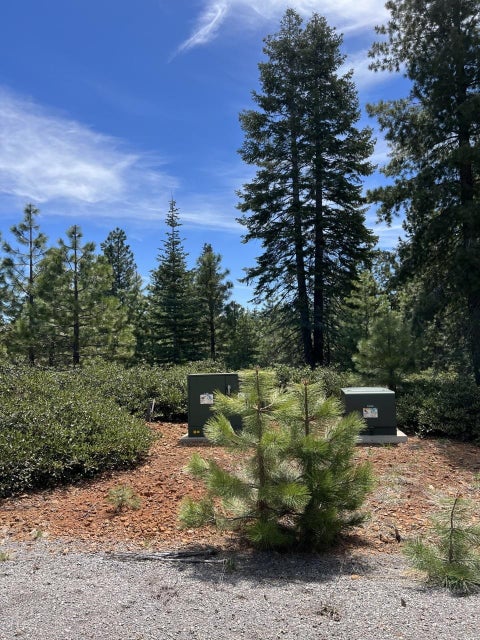 Vacant Land For Sale - 212 Treetop Circle<br/> Lake Almanor, CA 96137
